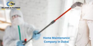 Home Maintenance Services Dubai